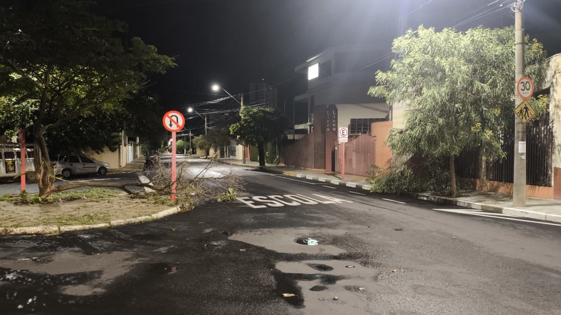 Foto 53 de 67 — TEMPORAL EM FOTOS: veja imagens de destruição em Araraquara